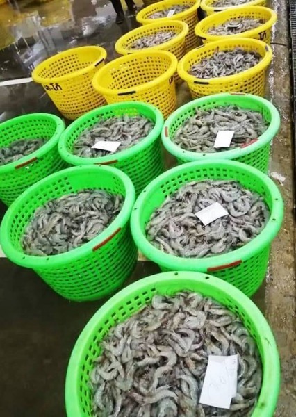 อาหารทะเล มหาชัย